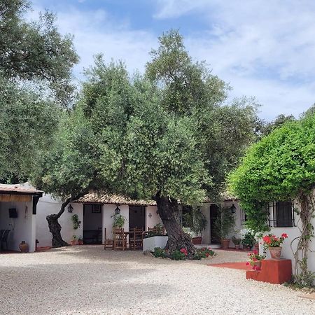Casa Abanto Villa Ronda Exterior photo